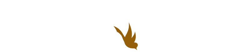 Chen Nexa